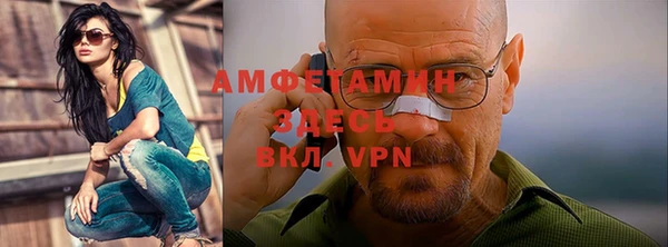прущие грибы Балахна