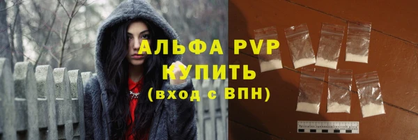 прущие грибы Балахна
