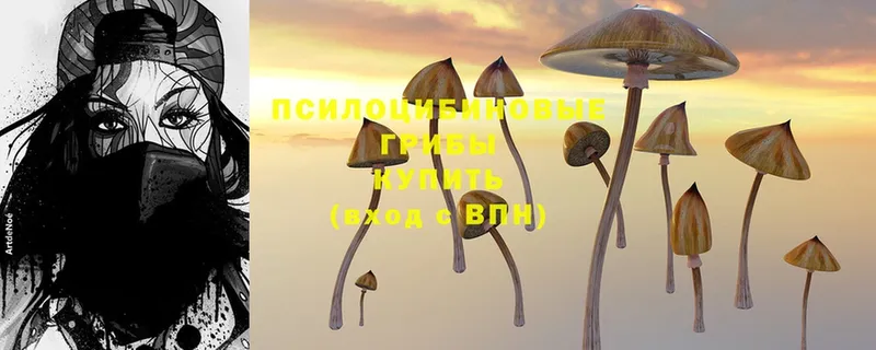 Галлюциногенные грибы Magic Shrooms  купить   Белорецк 