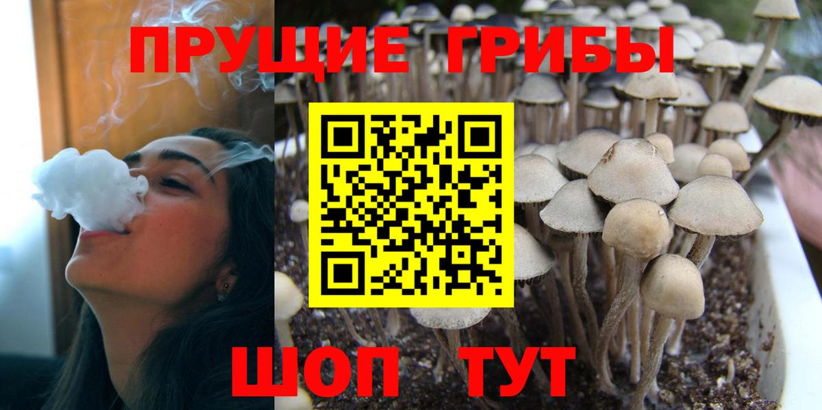 Белорецк  Галлюциногенные грибы Psilocybe  Вход с VPN 
