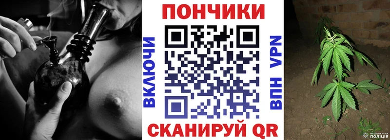 MEGA tor  Белорецк  Шишки марихуана конопля 